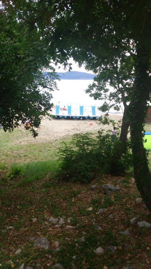Apartment Pavica Novi Vinodolski Εξωτερικό φωτογραφία